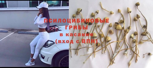 ALPHA PVP Снежногорск