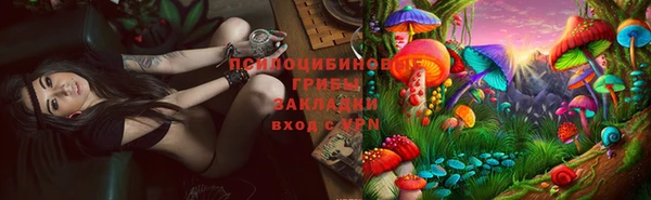 дмт Верхний Тагил